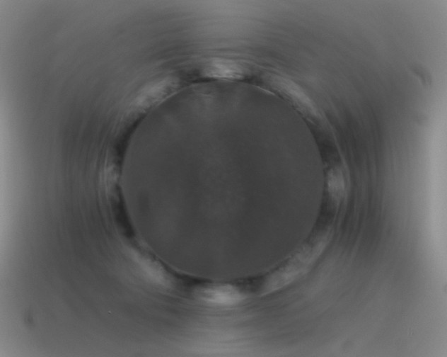 X0000115480322200911061222