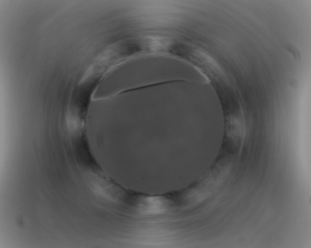 X0000115480324200911061222