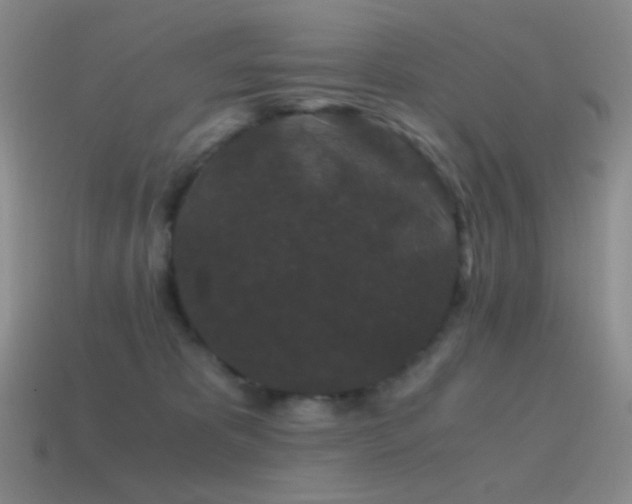 X0000115480325200911061222