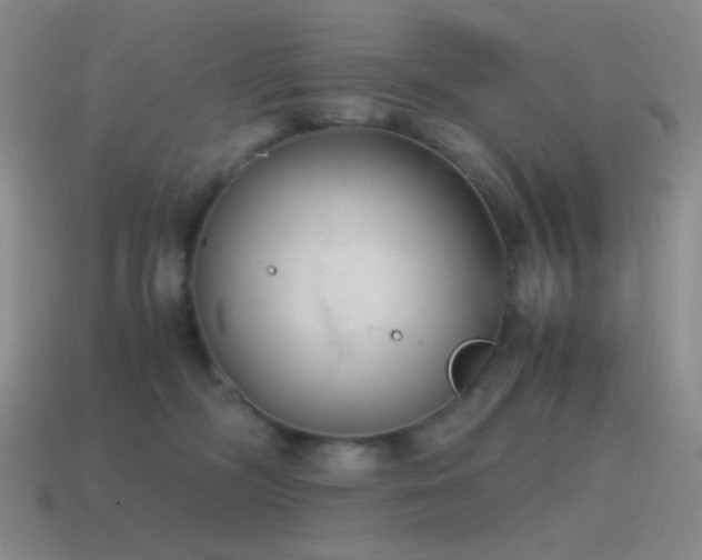 X0000115480326200911061222