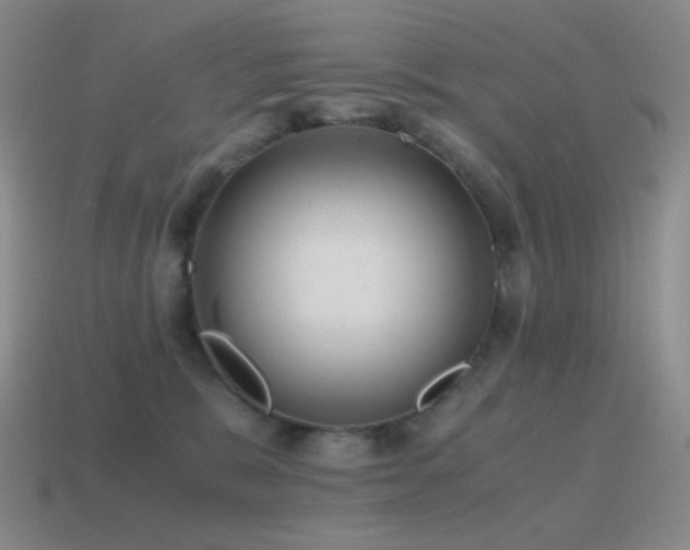 X0000115480327200911061222