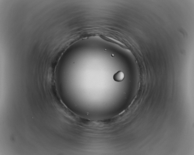 X0000115480328200911061222