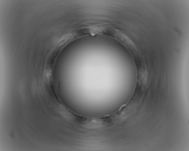 X0000115480329200911061222