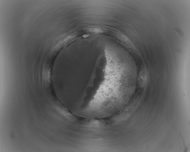 X0000115480330200911061222