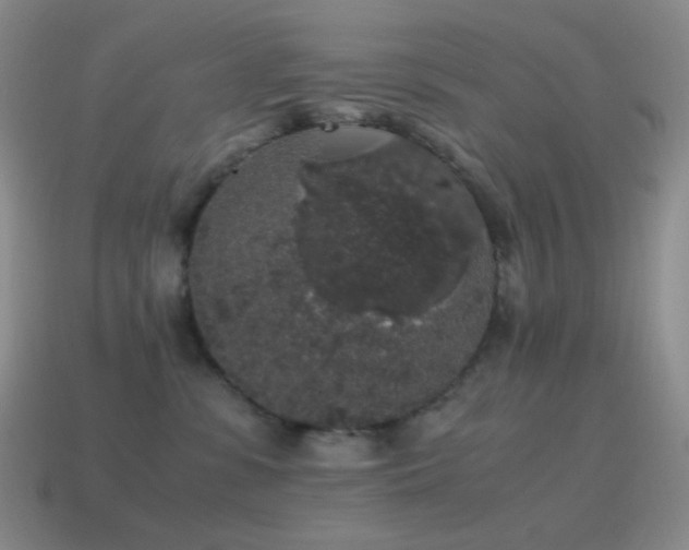 X0000115480331200911061222