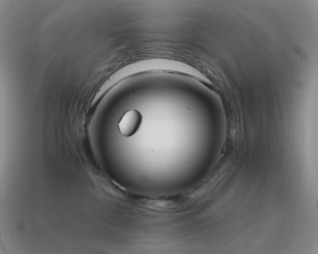 X0000115480332200911061222