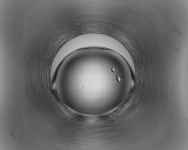 X0000115480333200911061222