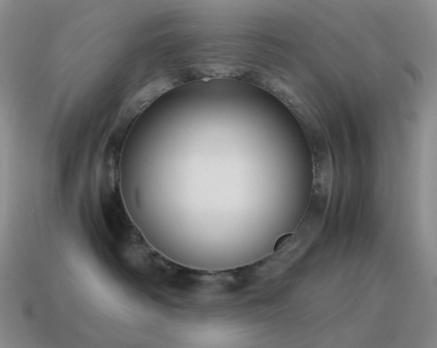 X0000115480334200911061222