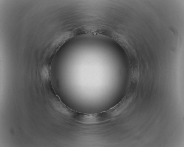 X0000115480335200911061222