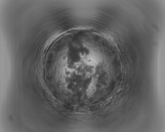 X0000115480337200911061221