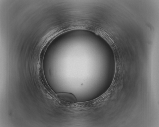 X0000115480338200911061221