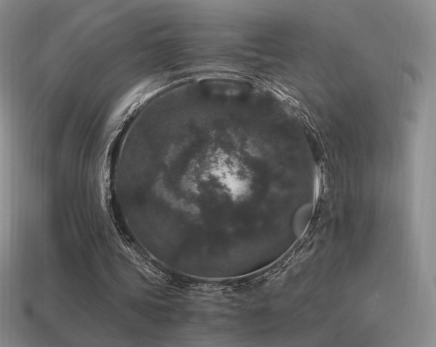 X0000115480339200911061221