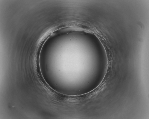 X0000115480341200911061221