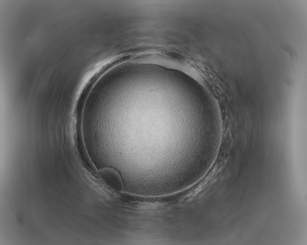 X0000115480342200911061222