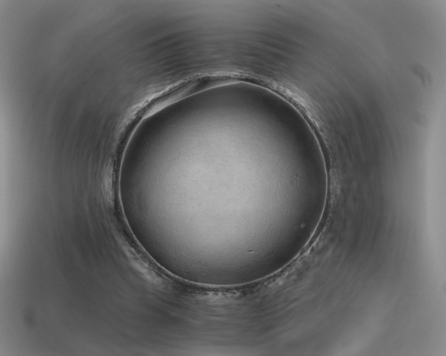 X0000115480345200911061222