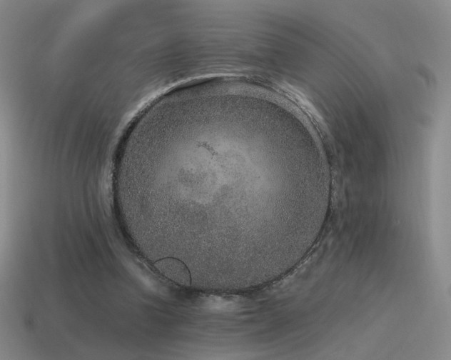 X0000115480346200911061222