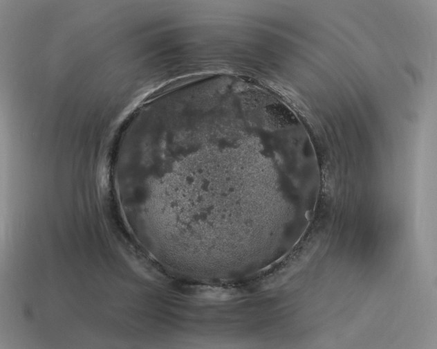 X0000115480347200911061222