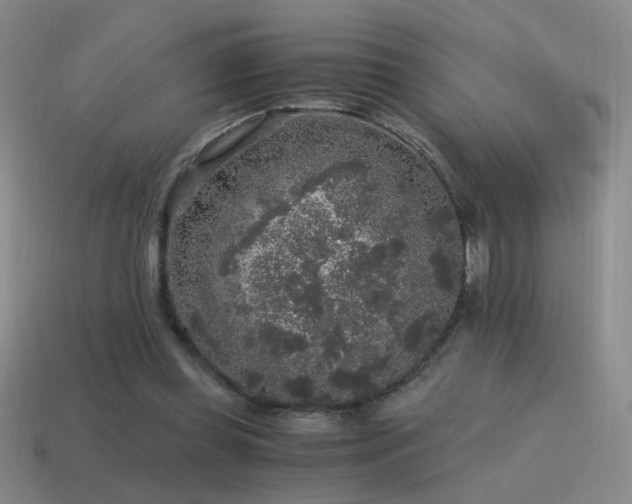 X0000115480349200911061222