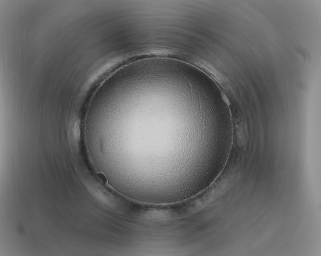 X0000115480350200911061222