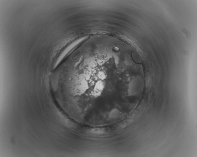 X0000115480353200911061222