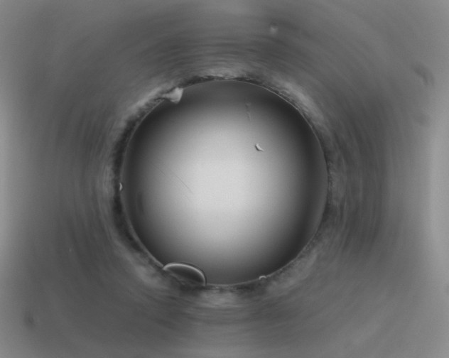 X0000115480354200911061222