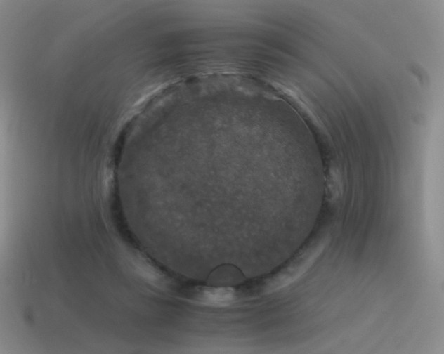 X0000115480355200911061222