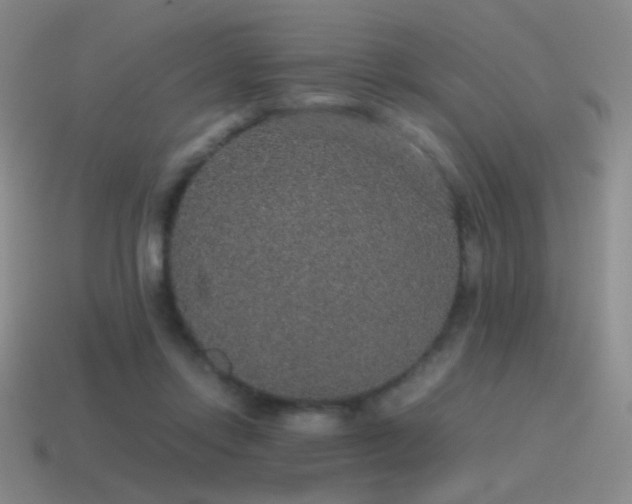 X0000115480358200911061222