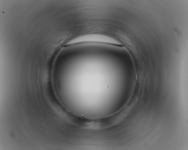 X0000115480362200911061222