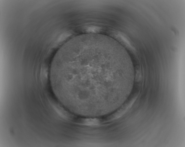 X0000115480363200911061222