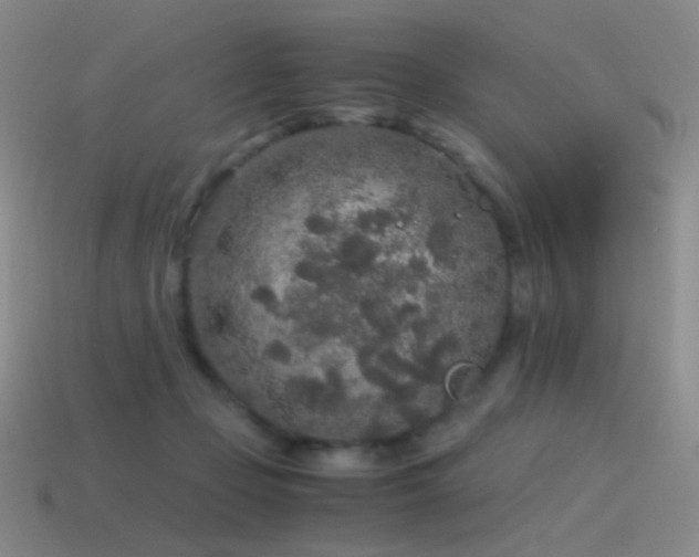 X0000115480365200911061222