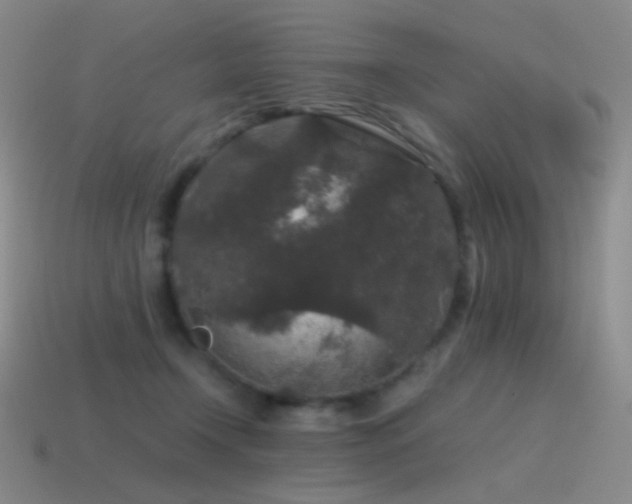 X0000115480366200911061222