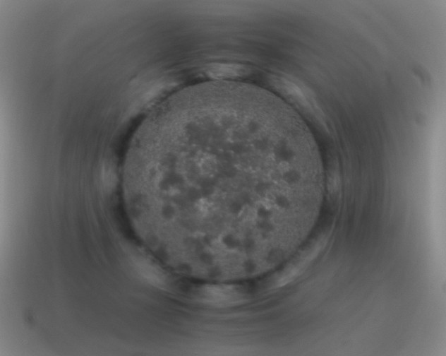 X0000115480367200911061222