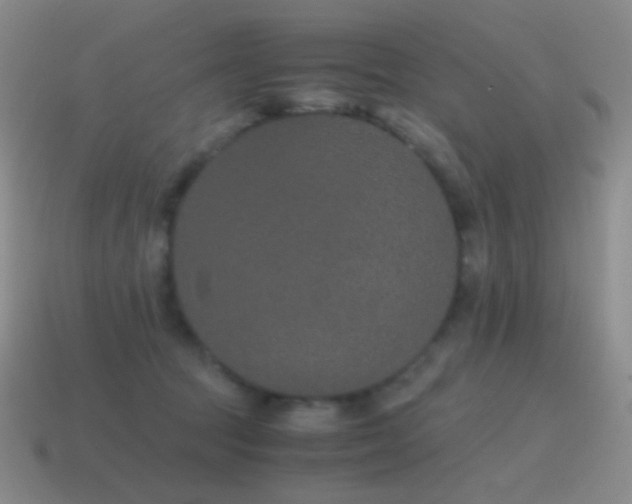 X0000115480369200911061222