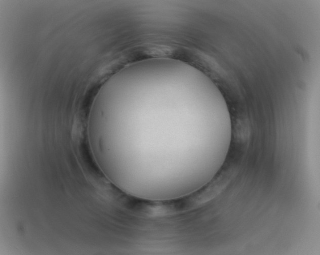 X0000115480370200911061222