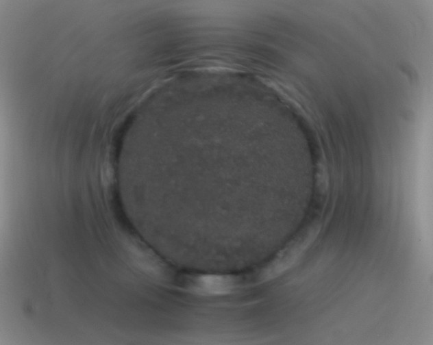 X0000115480371200911061222