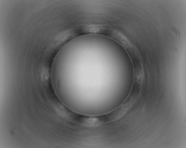 X0000115480374200911061222