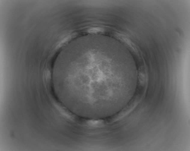 X0000115480375200911061222