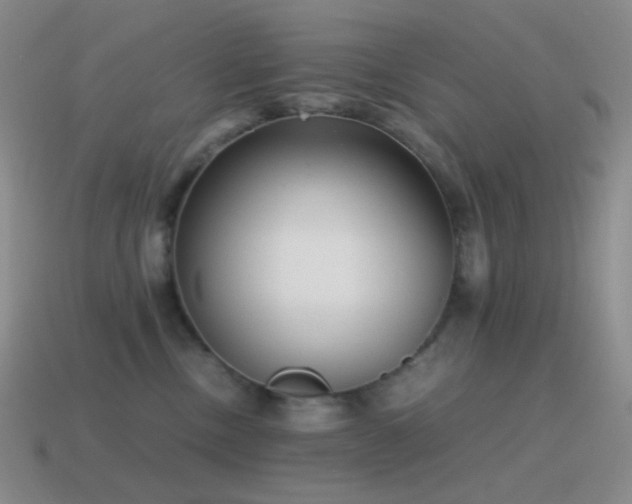 X0000115480378200911061222