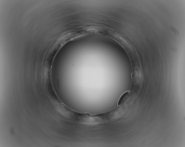 X0000115480379200911061222