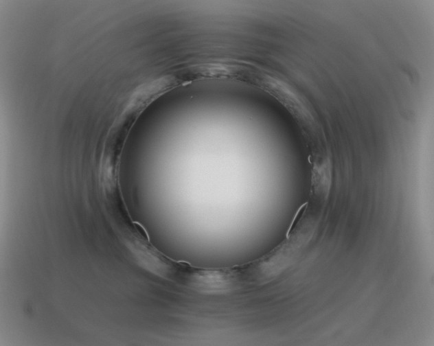 X0000115480381200911061222