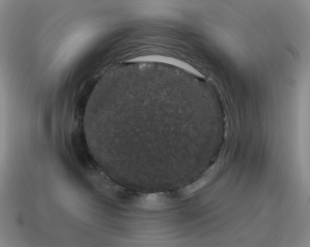 X0000115480382200911061222