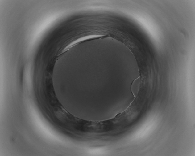 X0000115480383200911061222