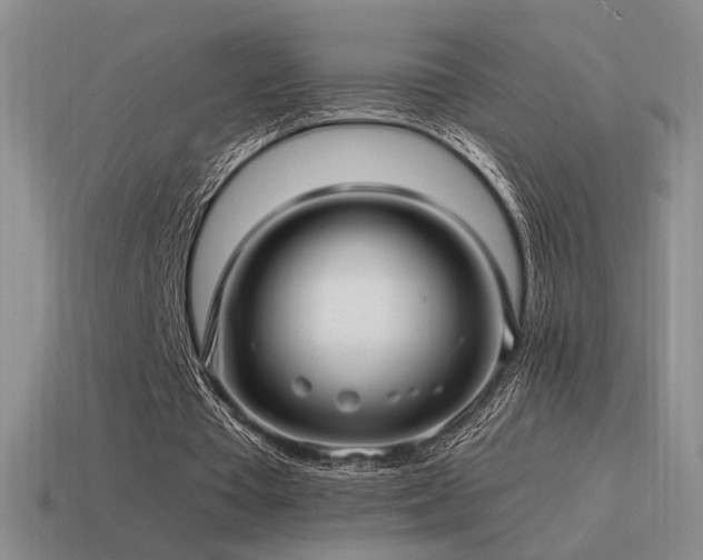 X0000115480385200911061221