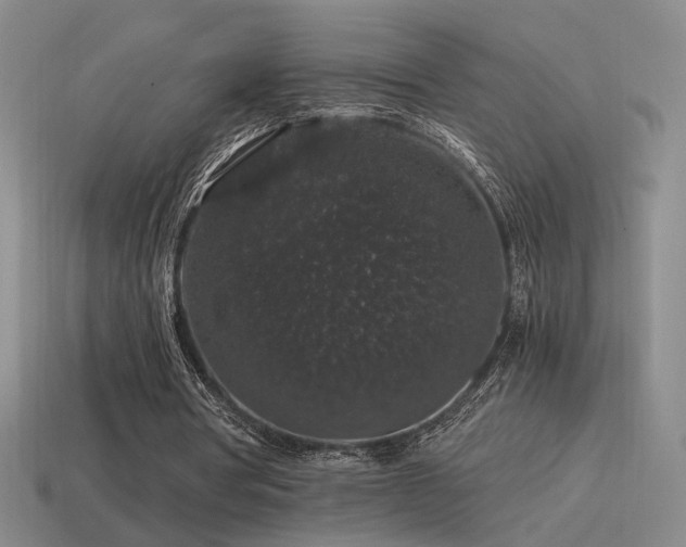 X0000115480386200911061221