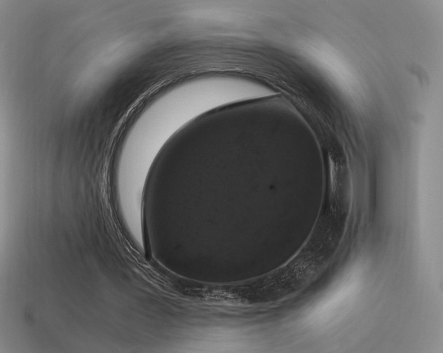 X0000115480387200911061221