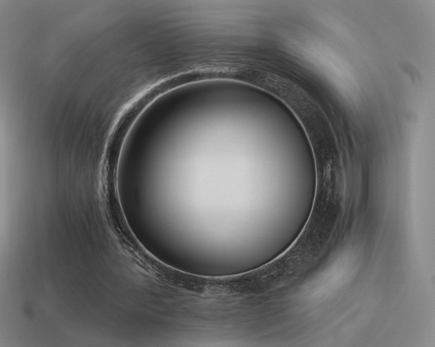 X0000115480388200911061221