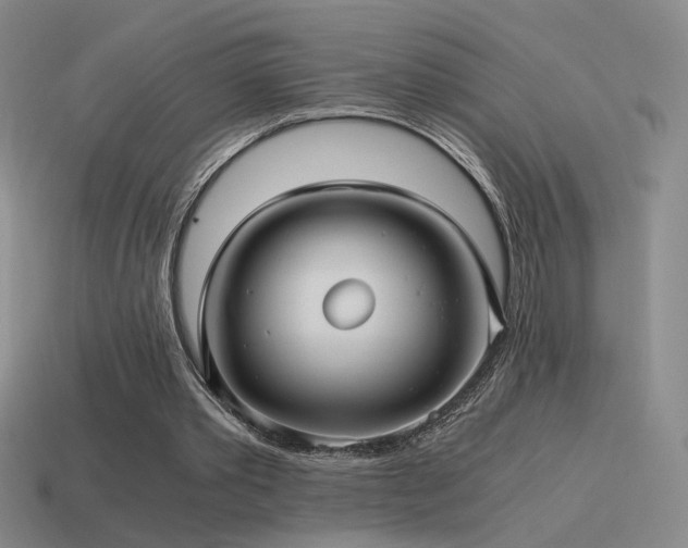 X0000115480389200911061221