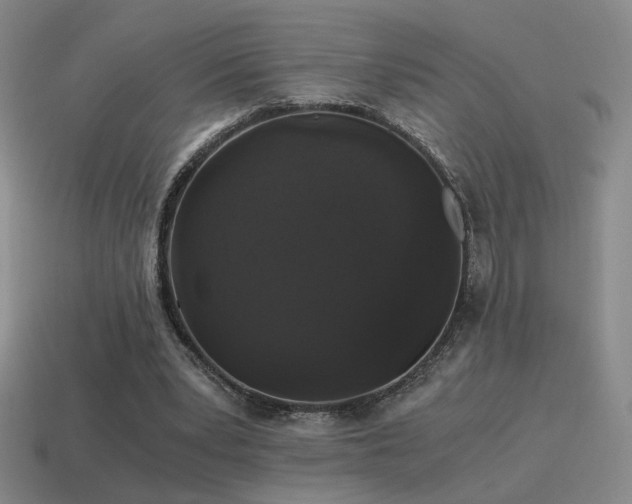 X0000115480391200911061221