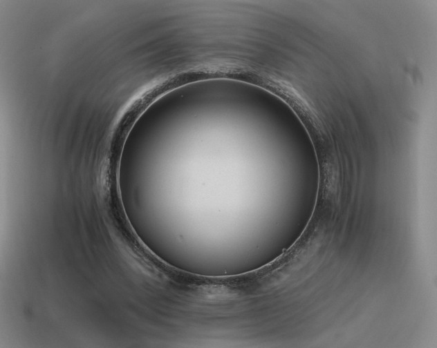 X0000115480392200911061221