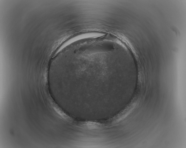 X0000115480393200911061221